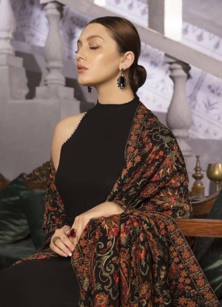 Elegant Indian Shawl outfit