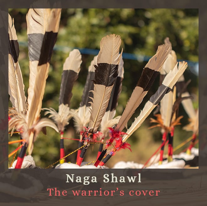 naga-shawl